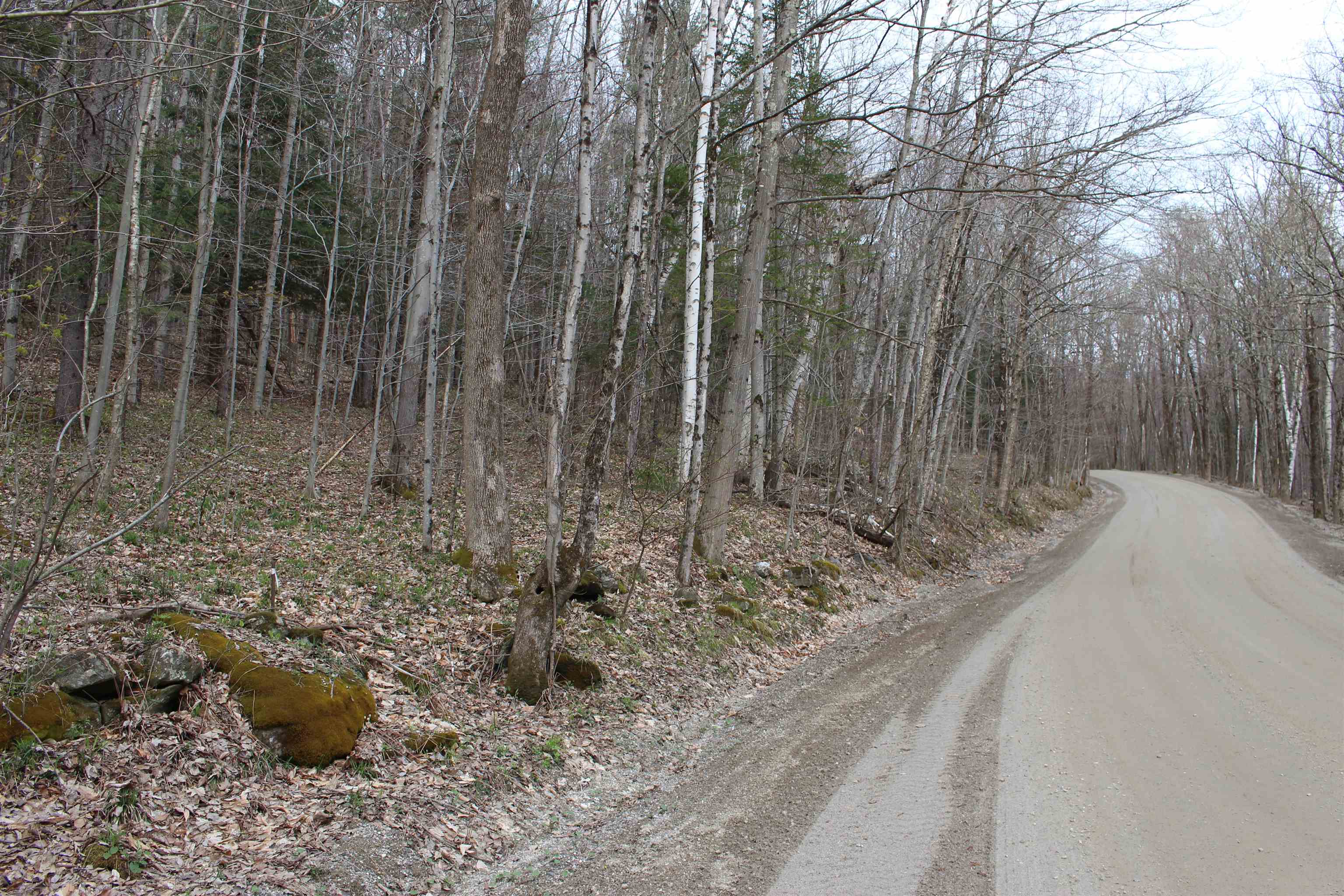 MLS #5026658 image #6