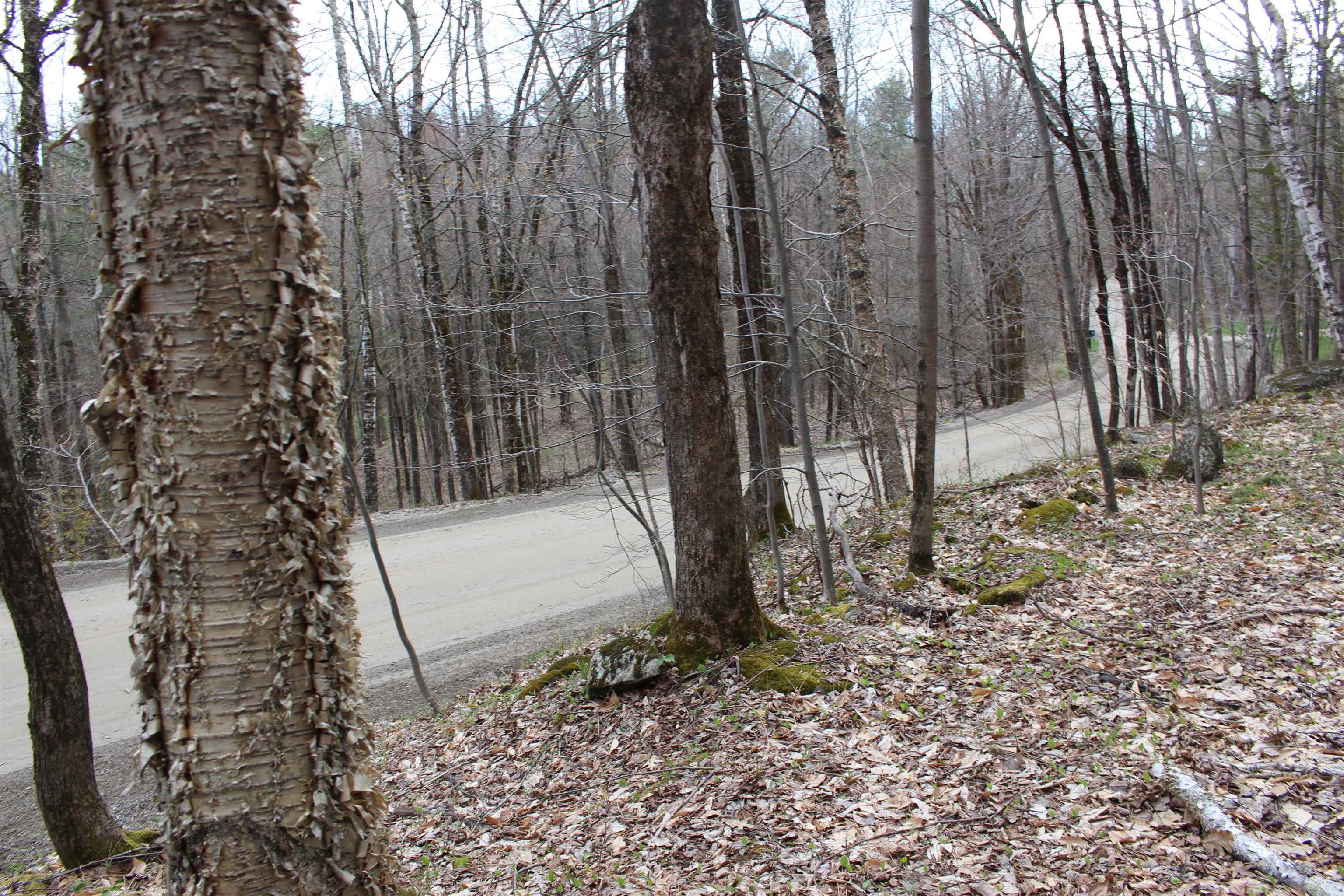 MLS #5026658 image #9