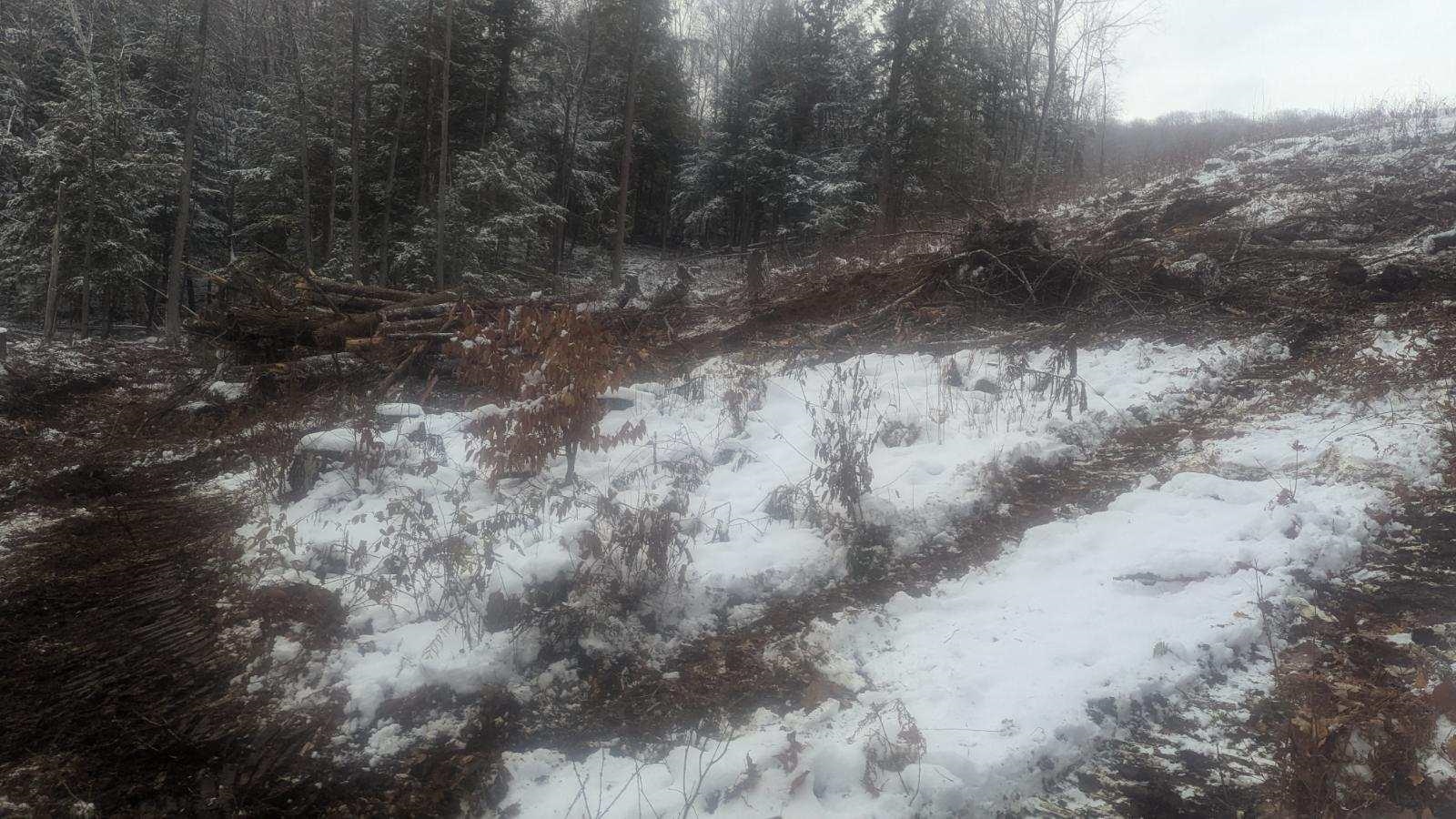 Homes for sale in Mendon, VT | 495 South Mendon St, Mendon, VT 05701 | MLS# 5026773