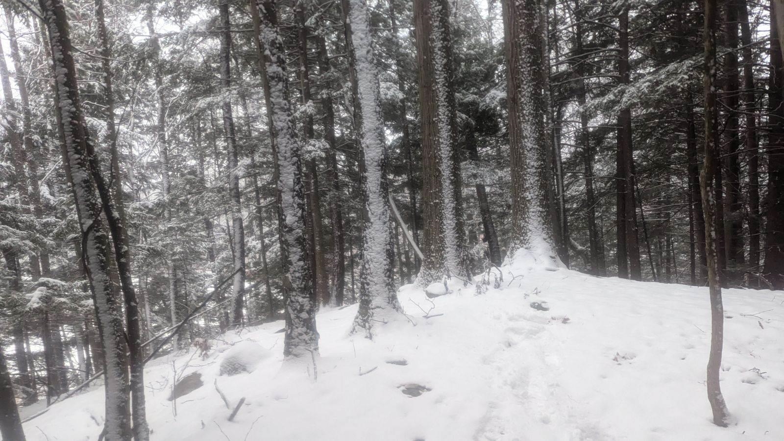 Homes for sale in Mendon, VT | 495 South Mendon St, Mendon, VT 05701 | MLS# 5026773