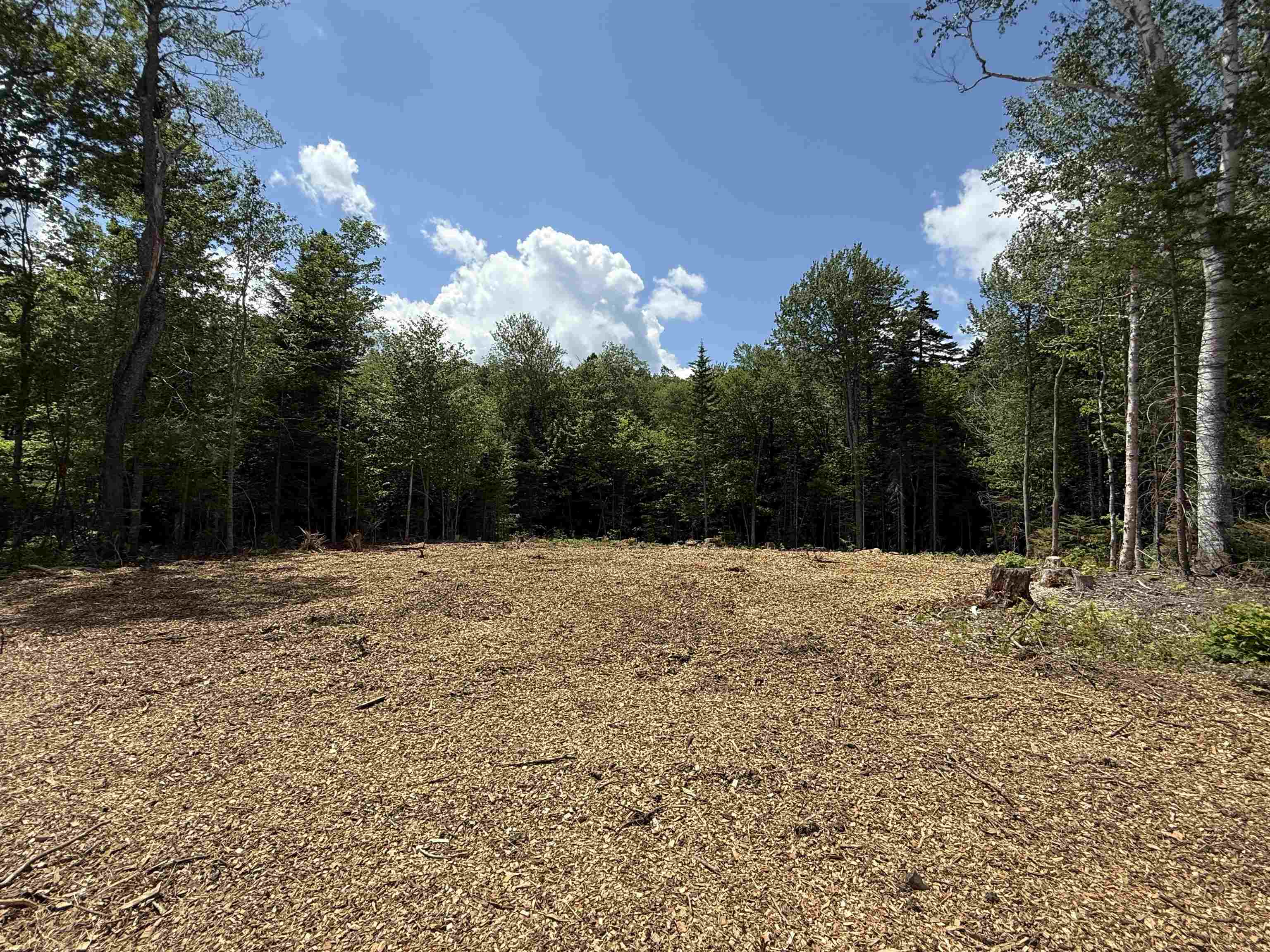 Homes for sale in Wilmington, VT | Lot 5 Old Mill Xing, Wilmington, VT 05363 | MLS# 5027027
