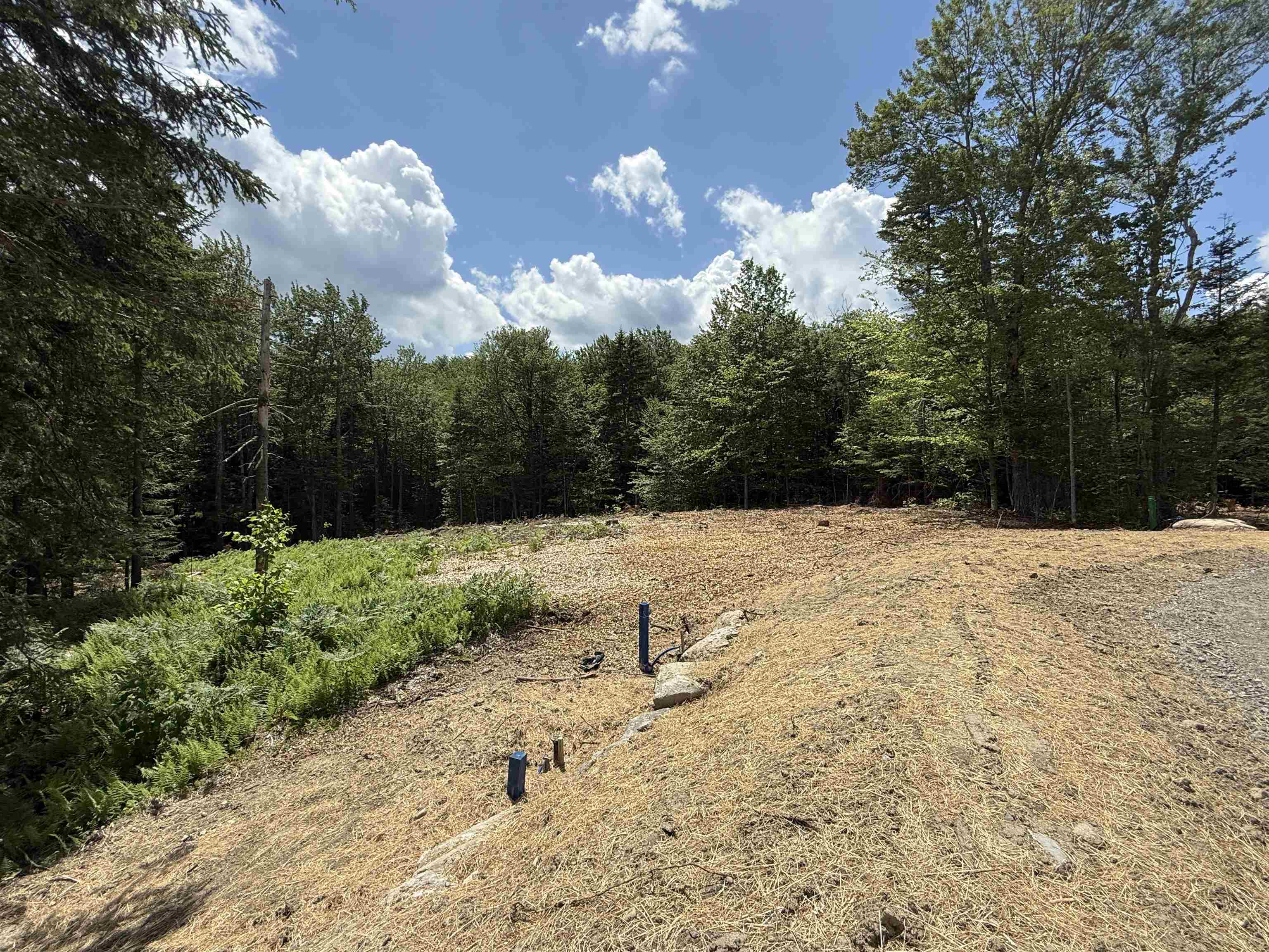 Homes for sale in Wilmington, VT | Lot 3 Old Mill Xing, Wilmington, VT 05363 | MLS# 5027029