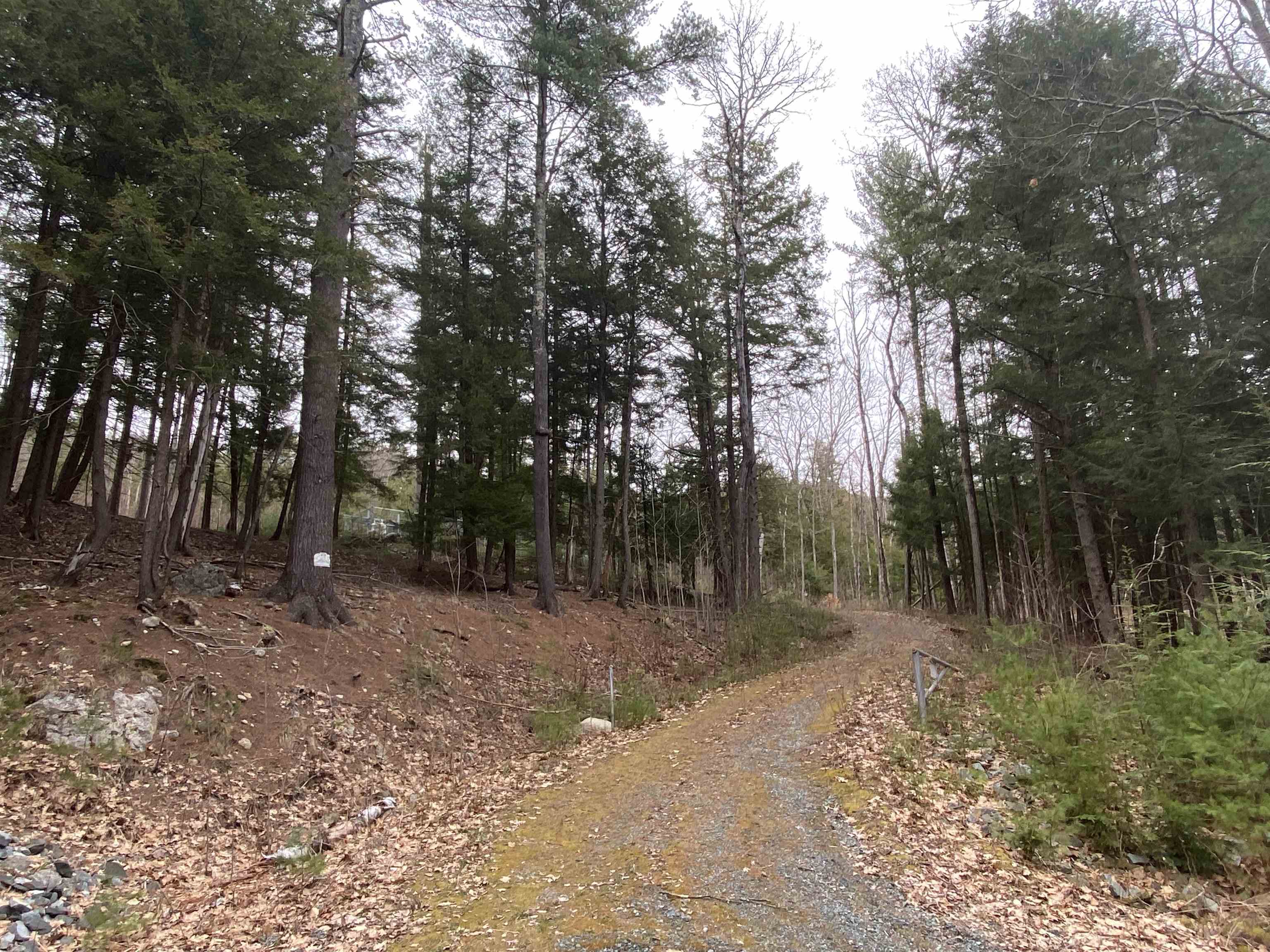 SUTTON NH LAND  for sale $$65,000 | 3.5 Acres  | Price Per Acre $0