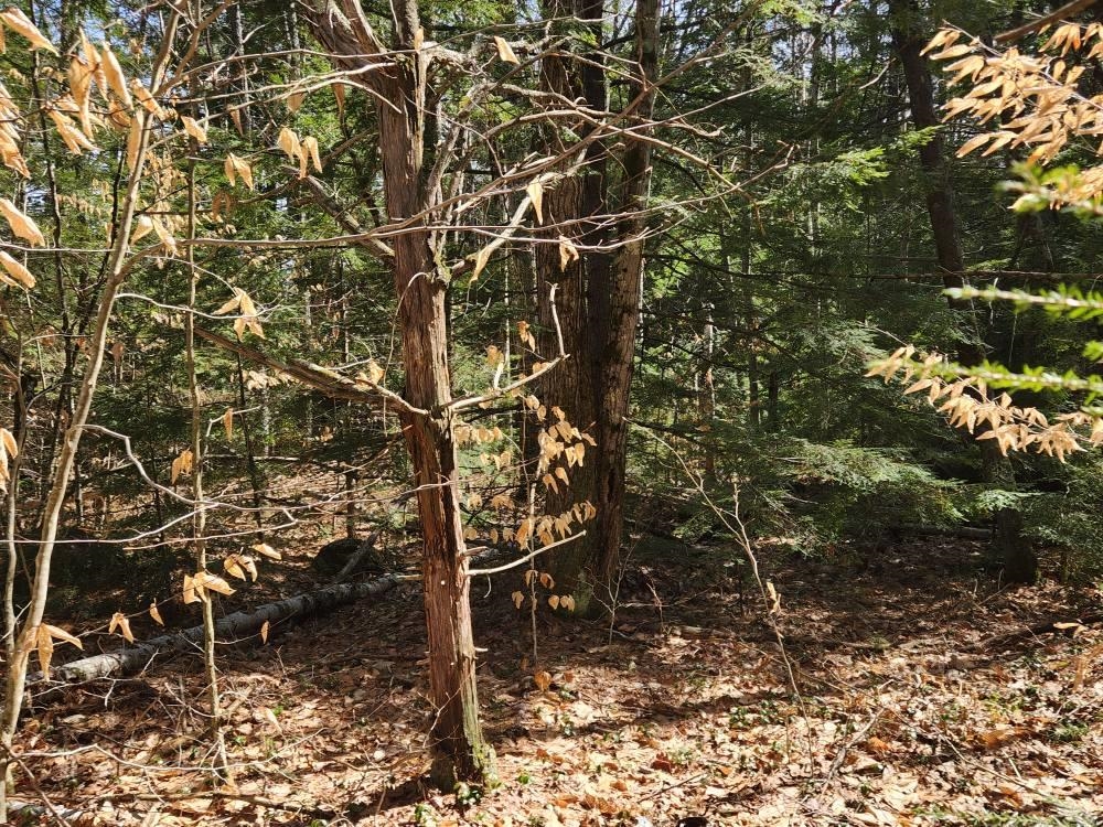 MLS #5027213 image #14