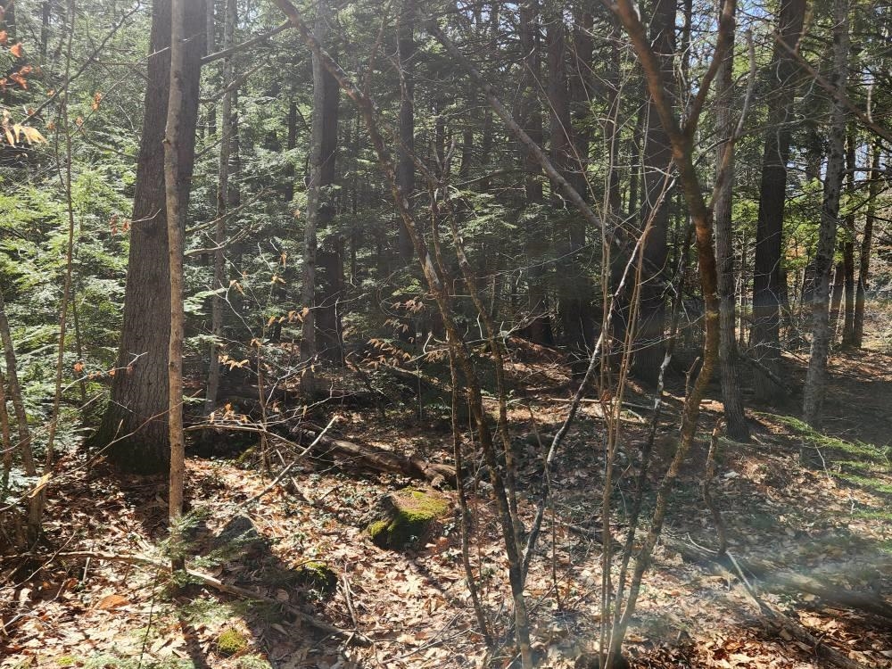 MLS #5027213 image #15