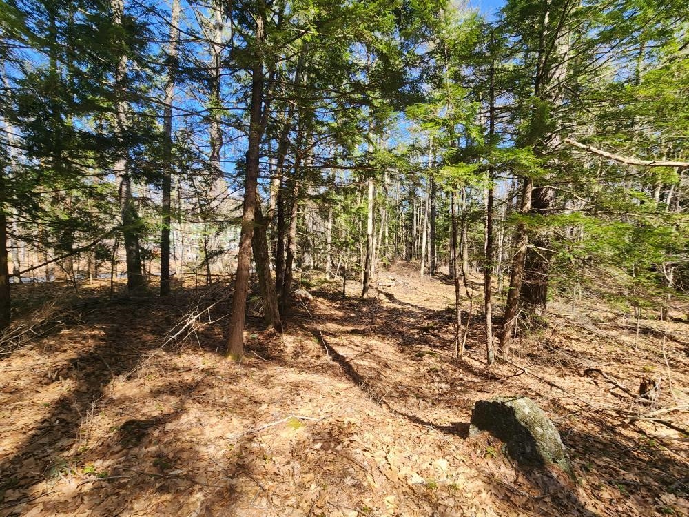 MLS #5027213 image #16