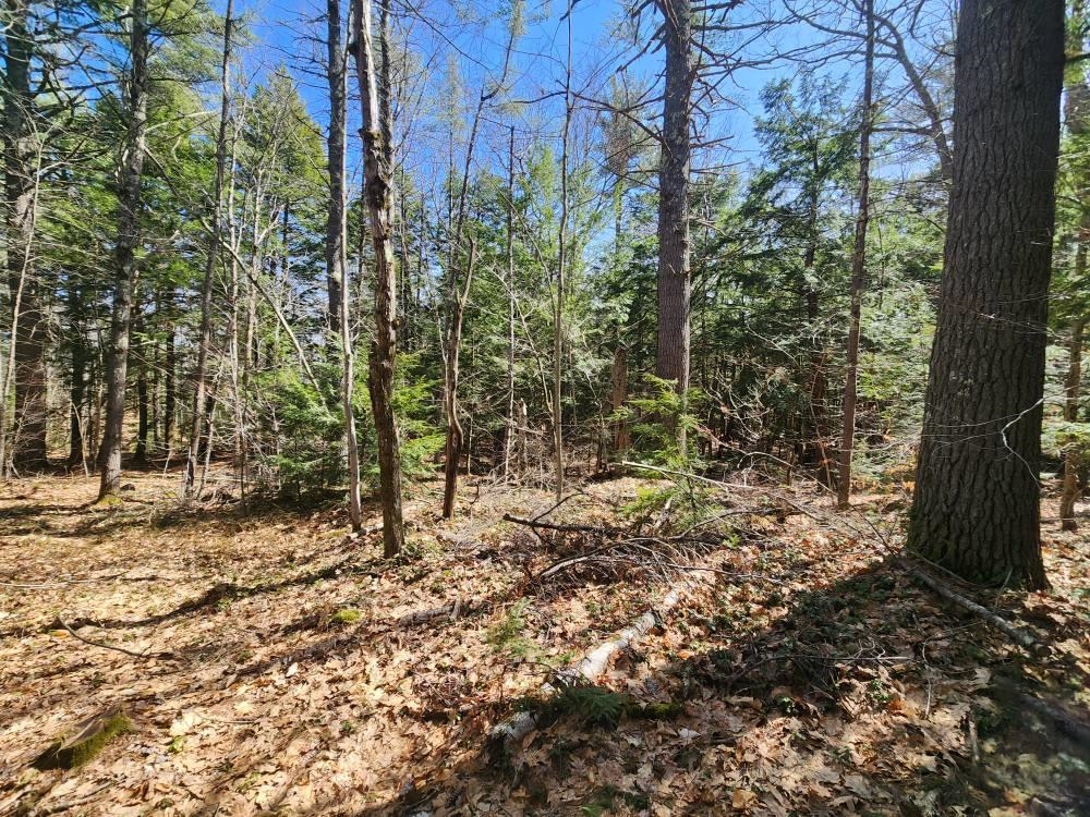 MLS #5027213 image #27