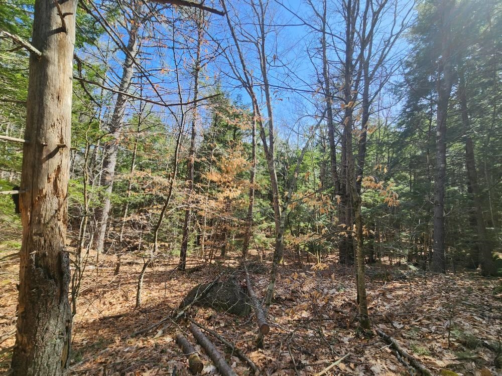 MLS #5027213 image #31