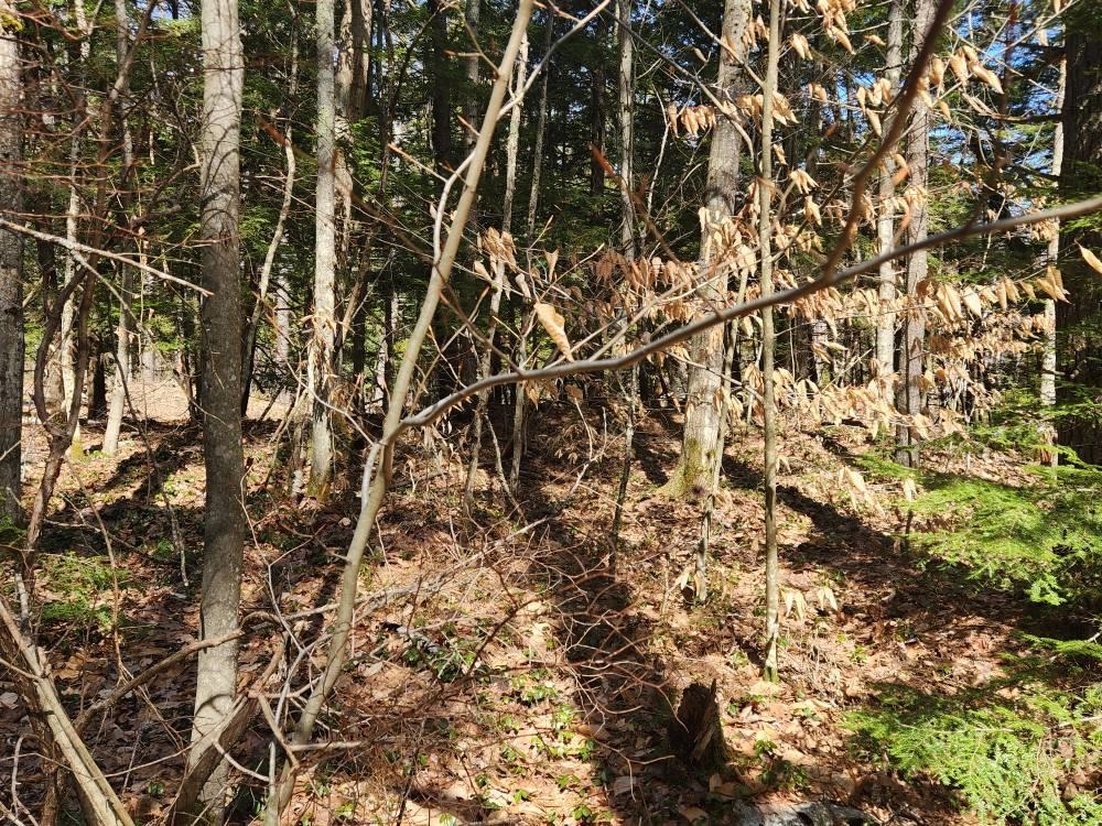 MLS #5027213 image #32