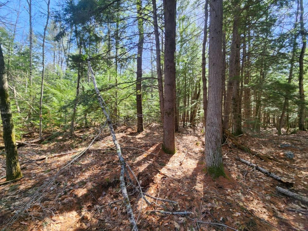 MLS #5027213 image #34