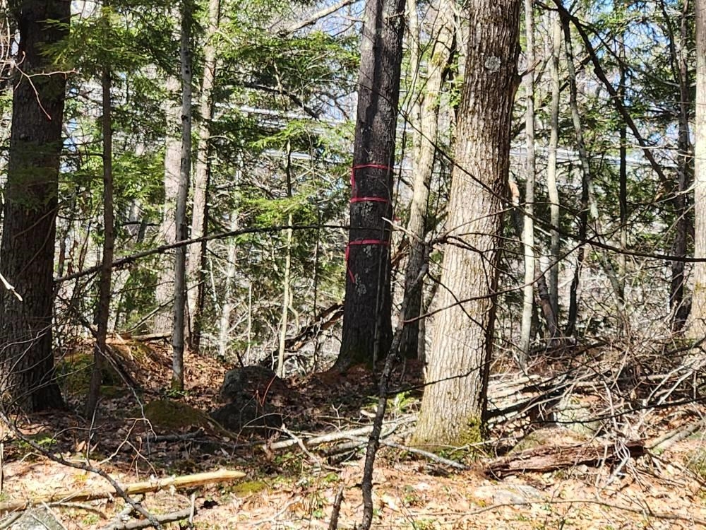 MLS #5027213 image #47