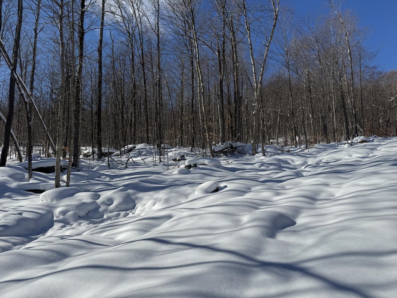 Homes for sale in Plymouth, VT | S 1c Great Roaring Brook Rd, Plymouth, VT 05056 | MLS# 5027249