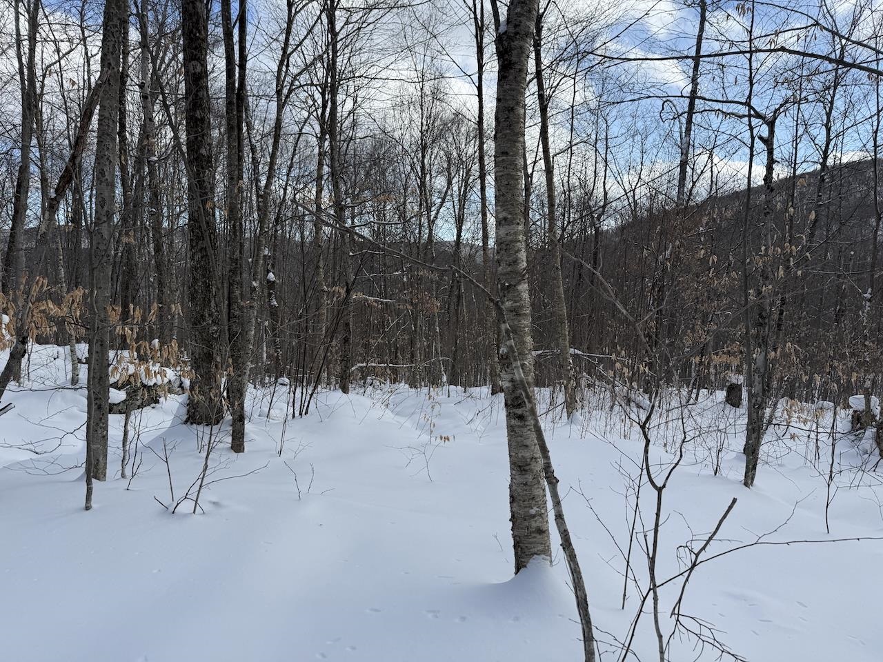 Homes for sale in Plymouth, VT | S 1c Great Roaring Brook Rd, Plymouth, VT 05056 | MLS# 5027249