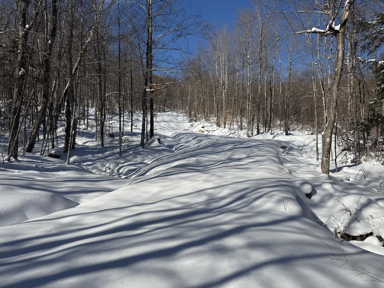 Homes for sale in Plymouth, VT | S-1C Great Roaring Brook Rd, Plymouth, VT 05056 | MLS# 5027249