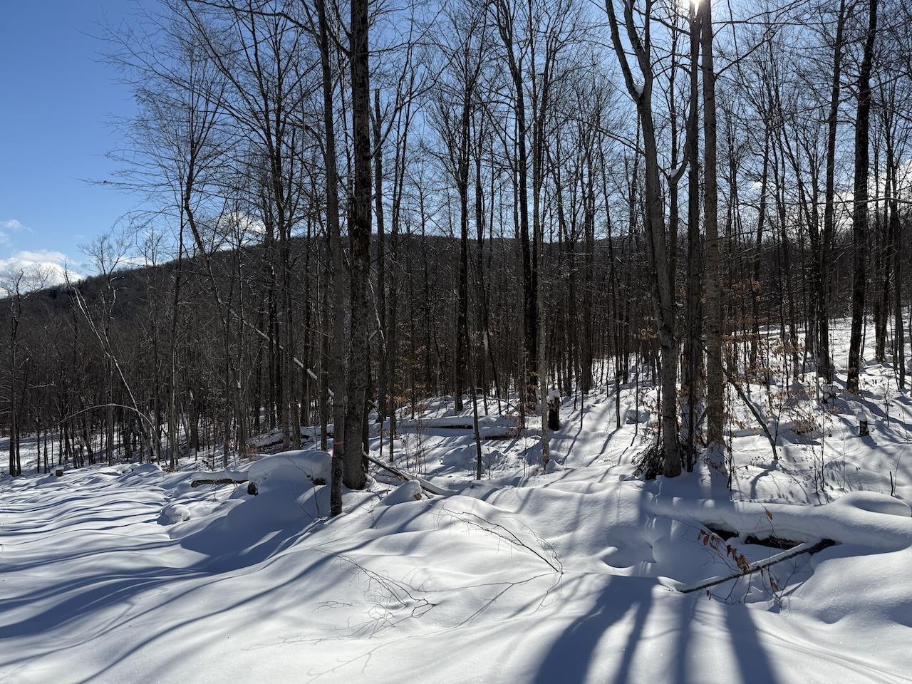 Homes for sale in Plymouth, VT | S-1C Great Roaring Brook Rd, Plymouth, VT 05056 | MLS# 5027249