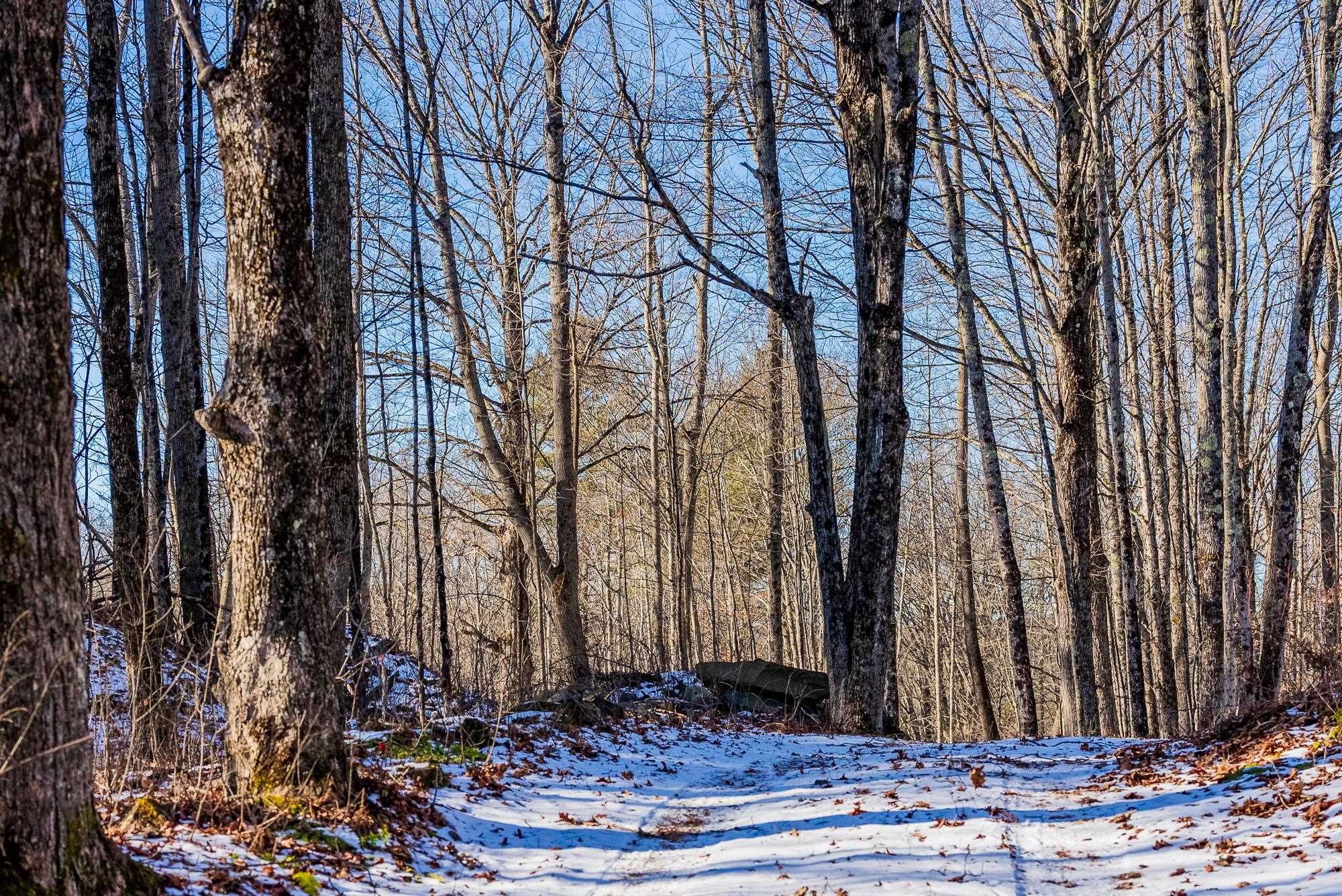 Homes for sale in Norwich, VT | 00 Olcott Rd, Norwich, VT 05055 | MLS# 5027298