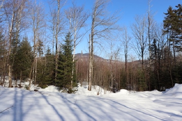 Homes for sale in Belvidere, VT | Vt Route 109, Belvidere, VT 05442 | MLS# 5027591