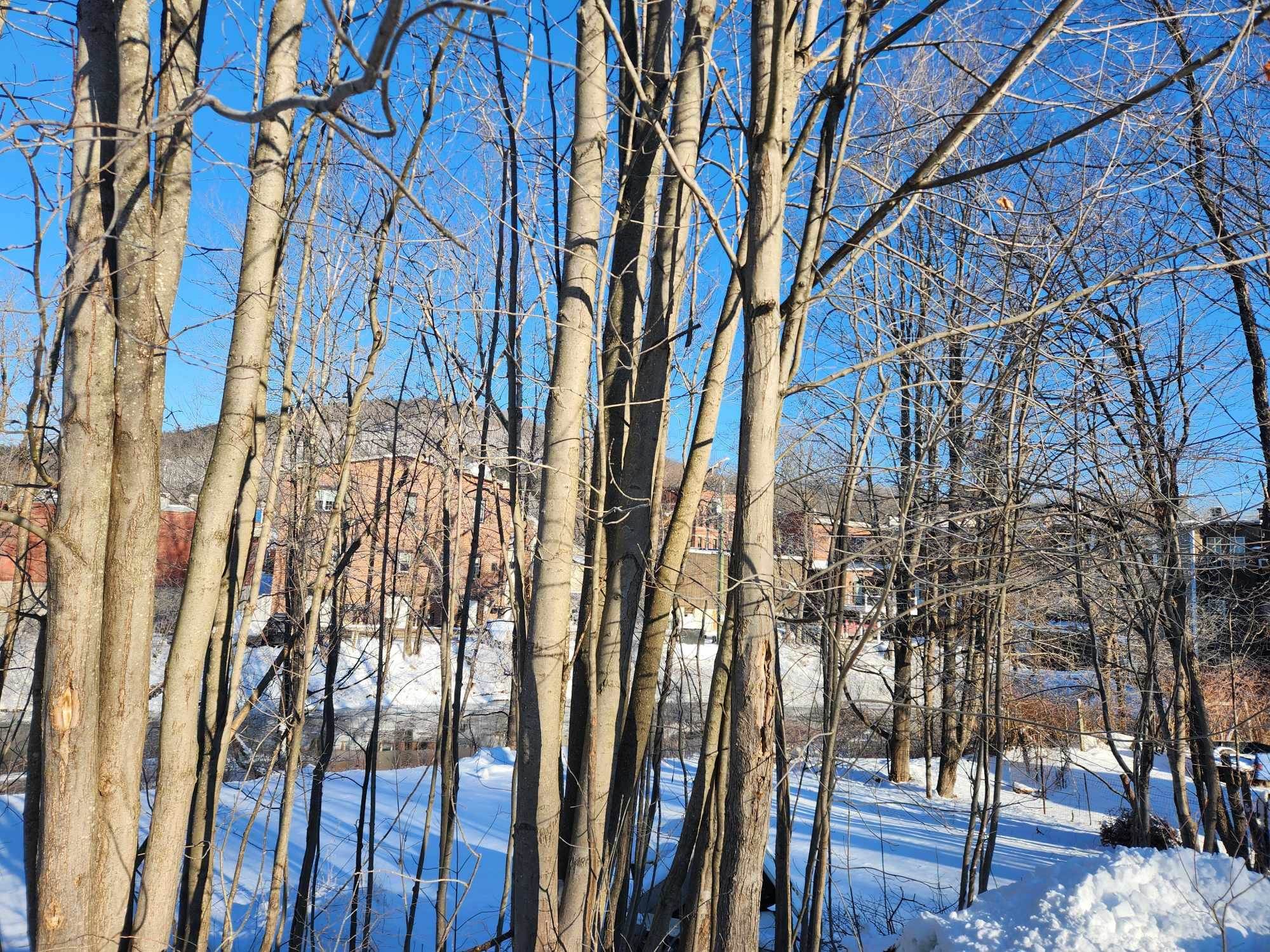 MLS #5027728 image #3