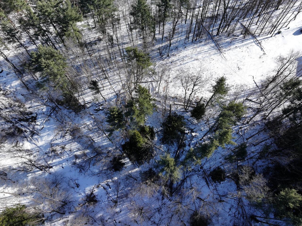 Homes for sale in Essex, VT | 88 Susie Wilson Rd, Essex, VT 05452 | MLS# 5027770