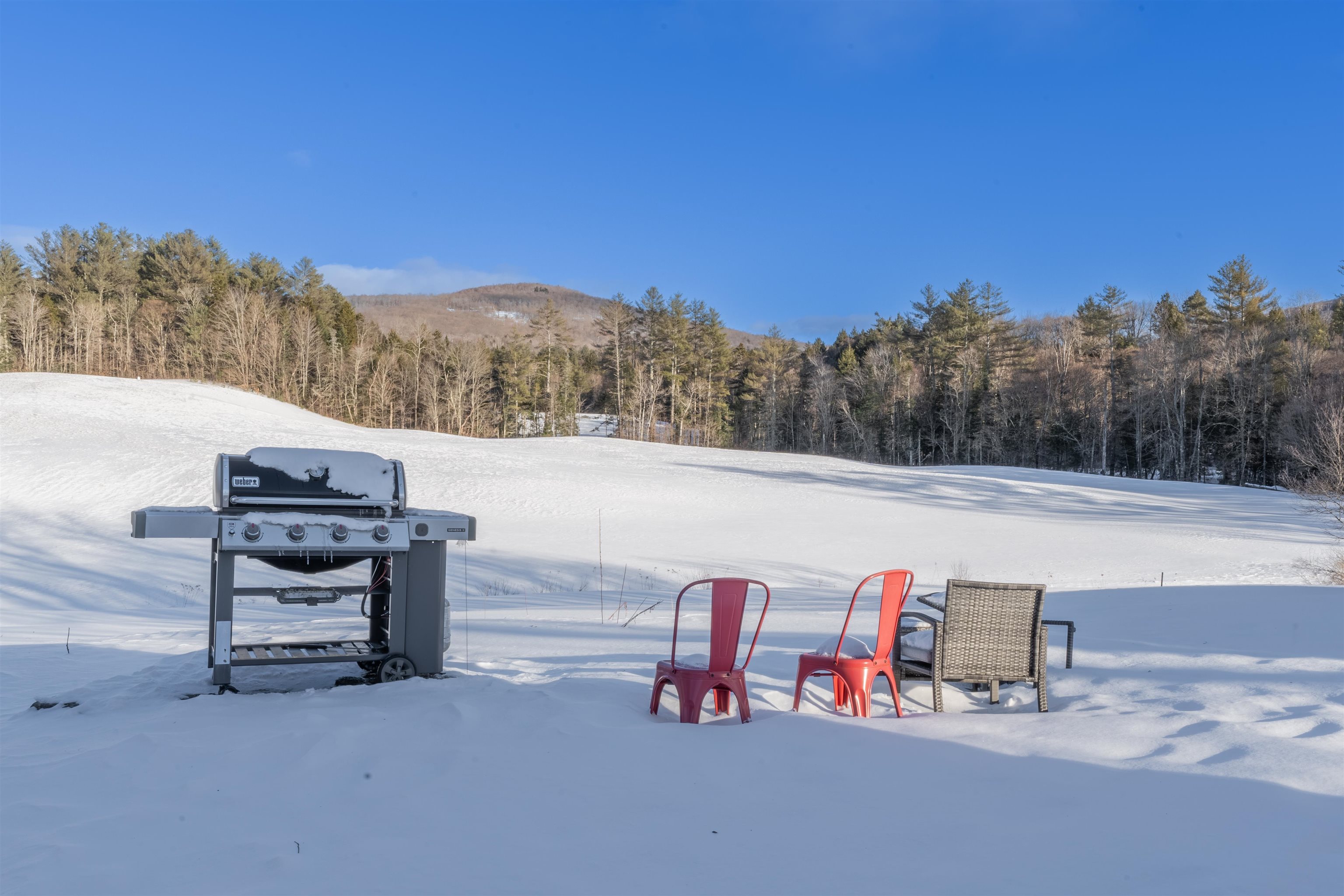 Homes for sale in Weston, VT | 815 Route 100, Weston, VT 05161 | MLS# 5027846