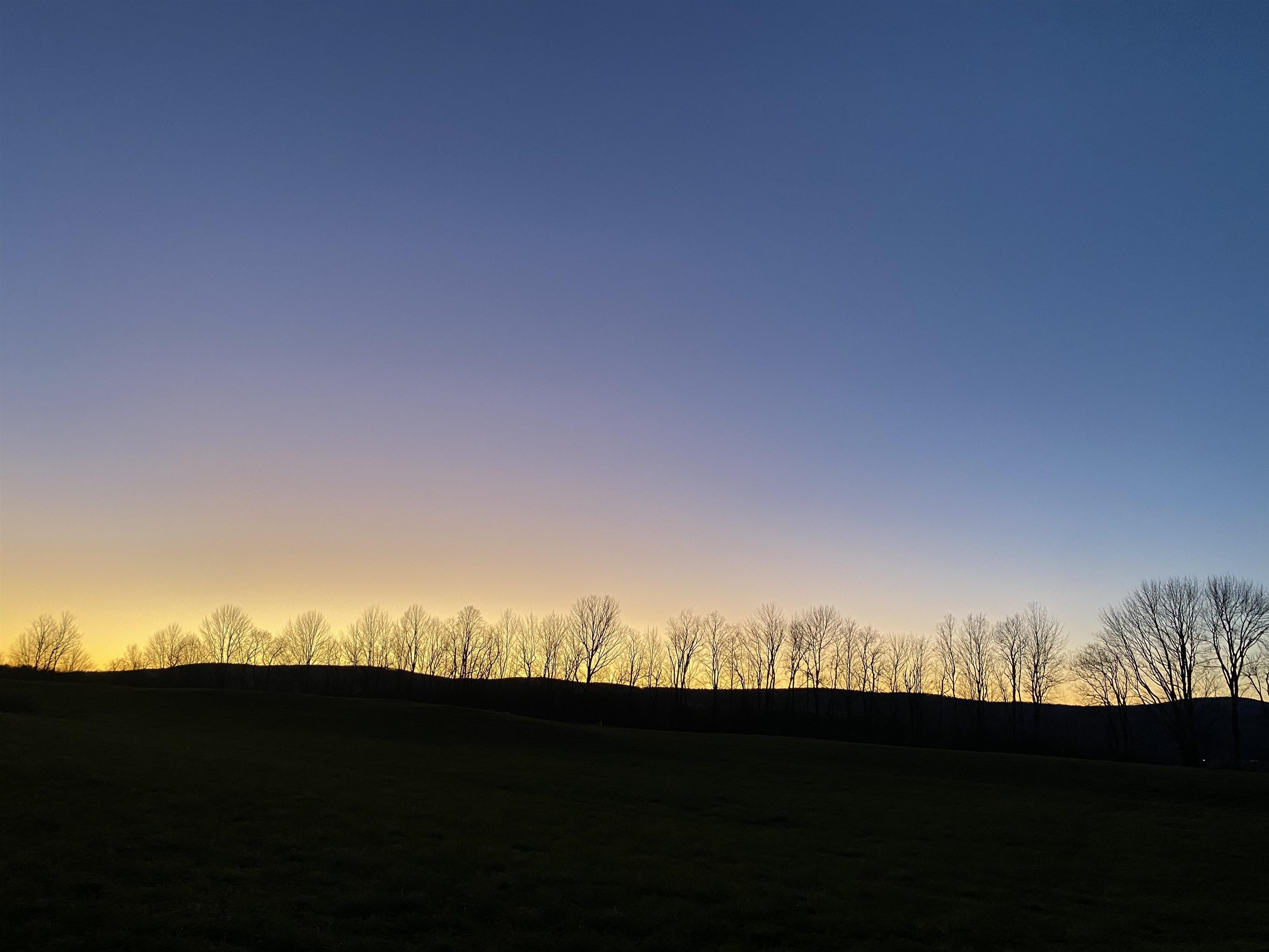 Homes for sale in Williamstown, VT | Tbd Gilbert Rd, Williamstown, VT 05679 | MLS# 5027851