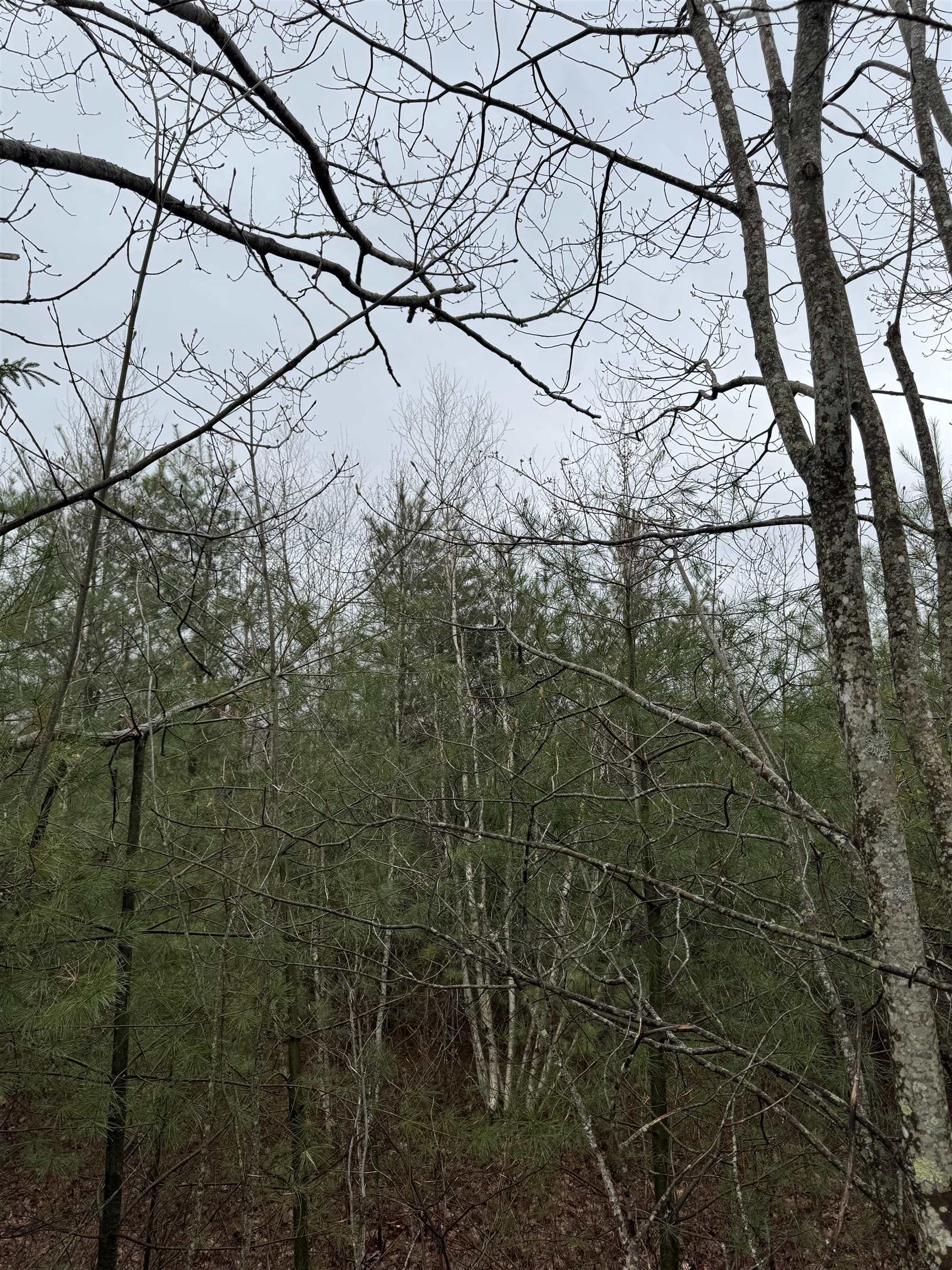 Homes for sale in Milton, NH | Tbd Mason Rd, Milton, NH 03851 | MLS# 5028304