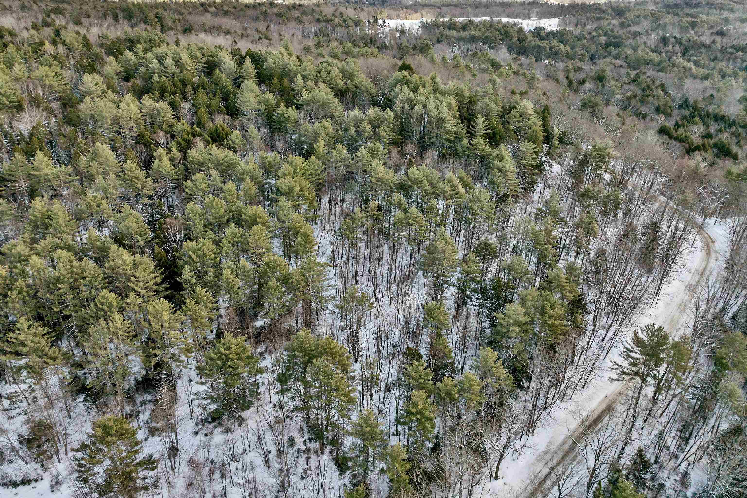 Homes for sale in Danbury, NH | 410-090-009 Eastern District Rd, Danbury, NH 03230 | MLS# 5028361