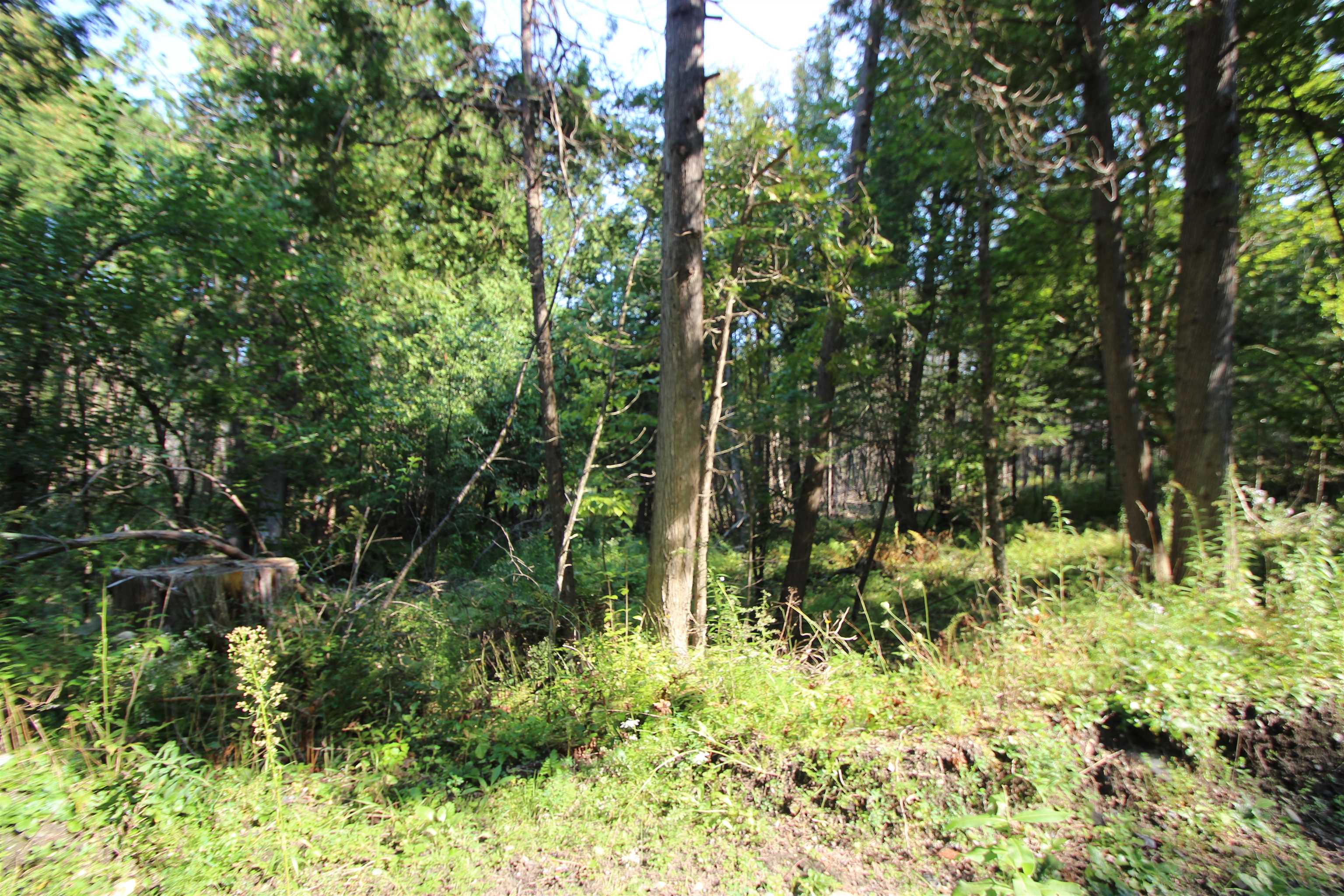 Homes for sale in Berlin, VT | 58 Warner Rd, Berlin, VT 05641 | MLS# 5028400