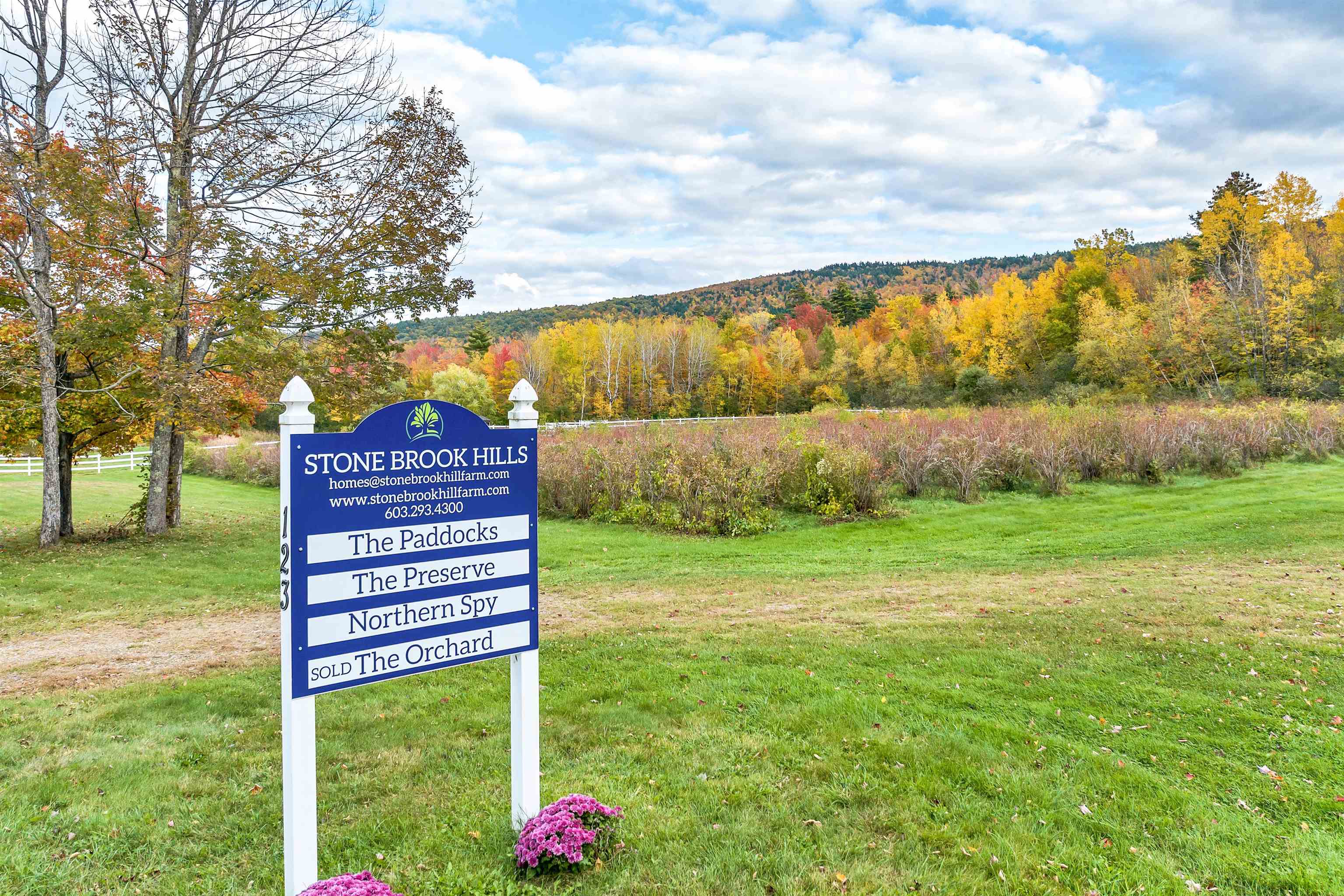 MLS #5028660 image #12