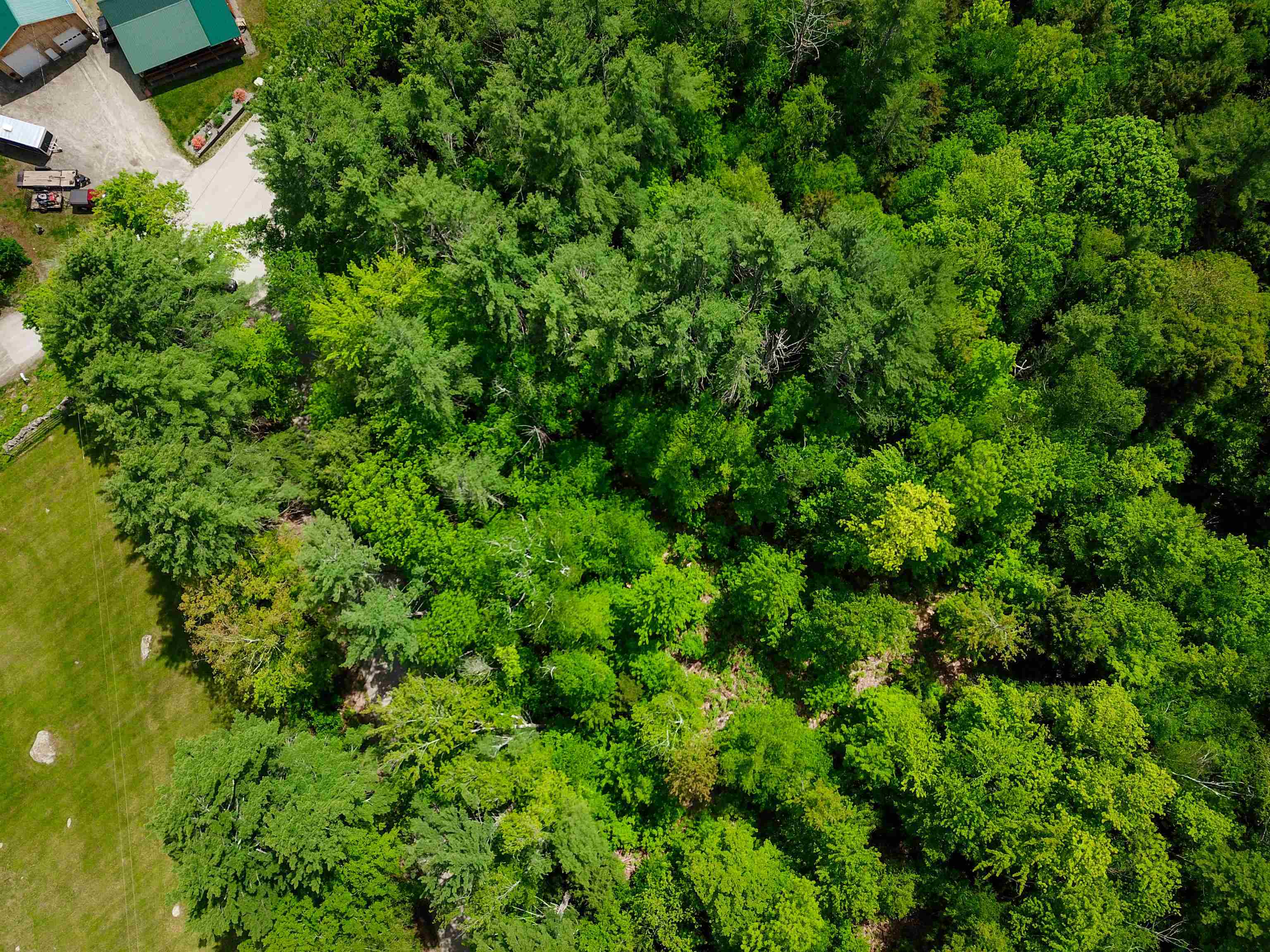 Homes for sale in Jamaica, VT | 1105 South Hill Rd, Jamaica, VT 05343 | MLS# 5028721