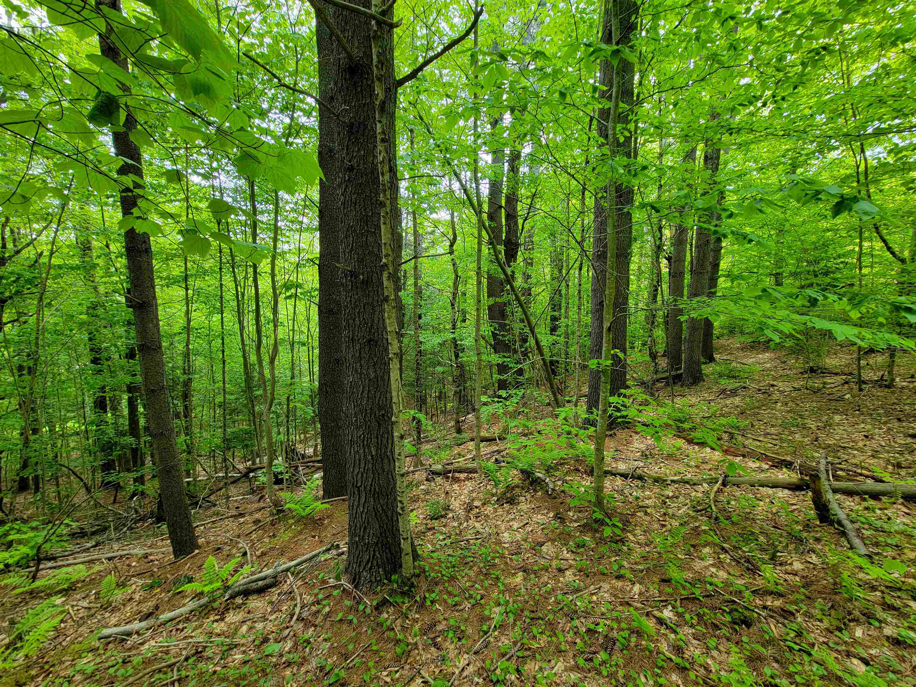 Homes for sale in Jamaica, VT | 1105 South Hill Rd, Jamaica, VT 05343 | MLS# 5028721