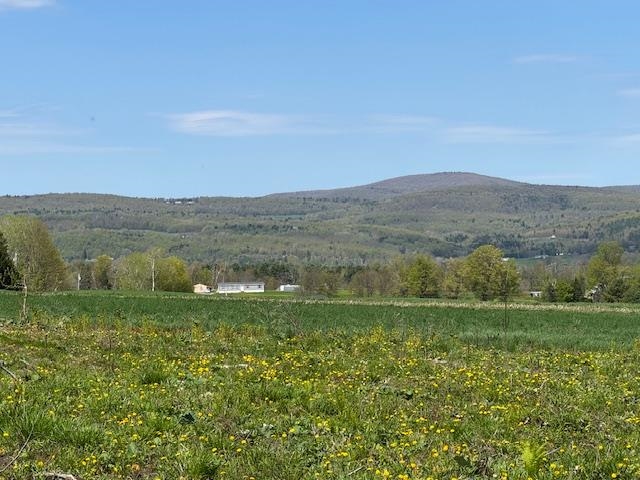 Homes for sale in Williamstown, VT | 389 Young Rd, Williamstown, VT 05679 | MLS# 5028947