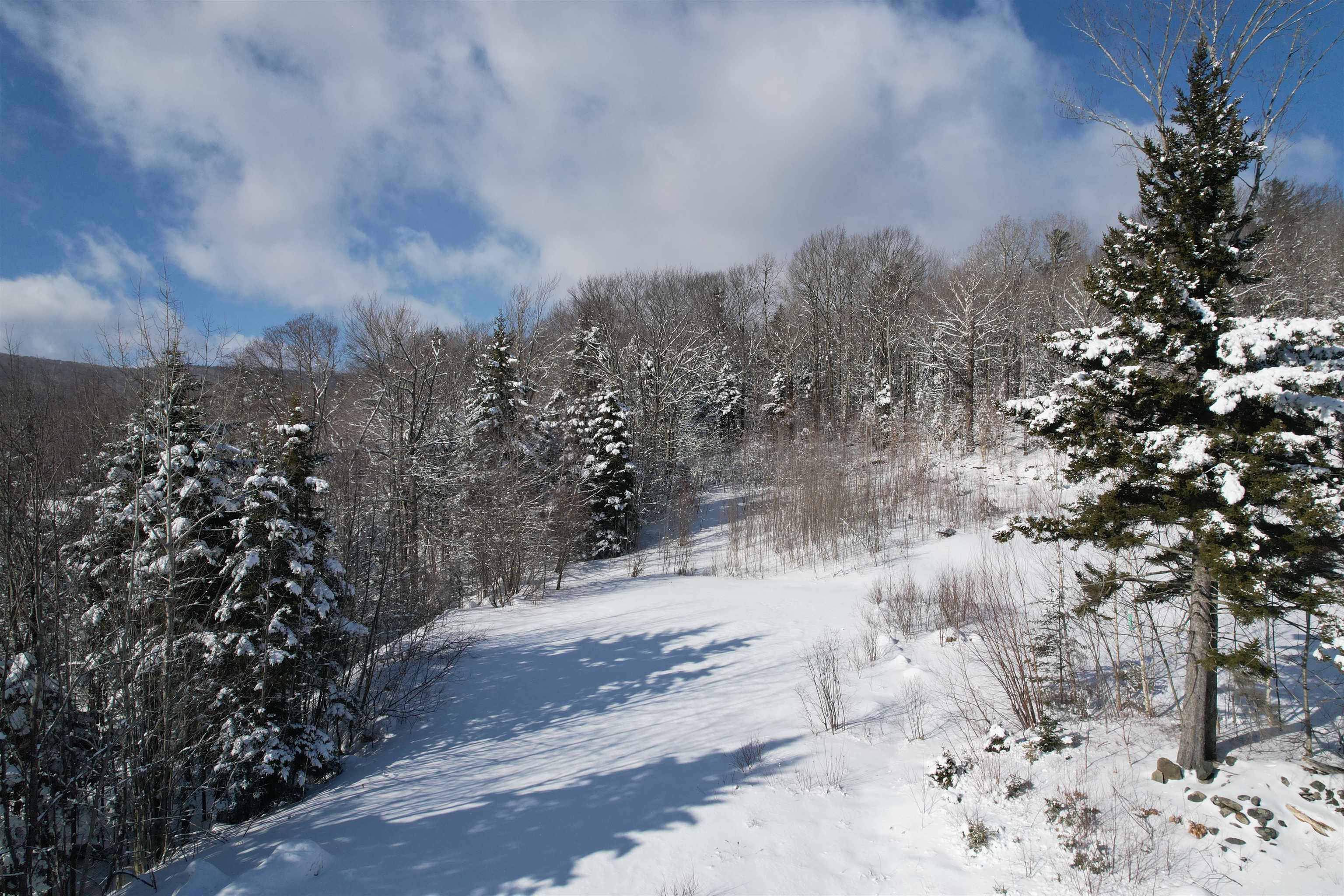 Homes for sale in Dover, VT | 5 Pinnacle View Rd, Dover, VT 05356 | MLS# 5029147