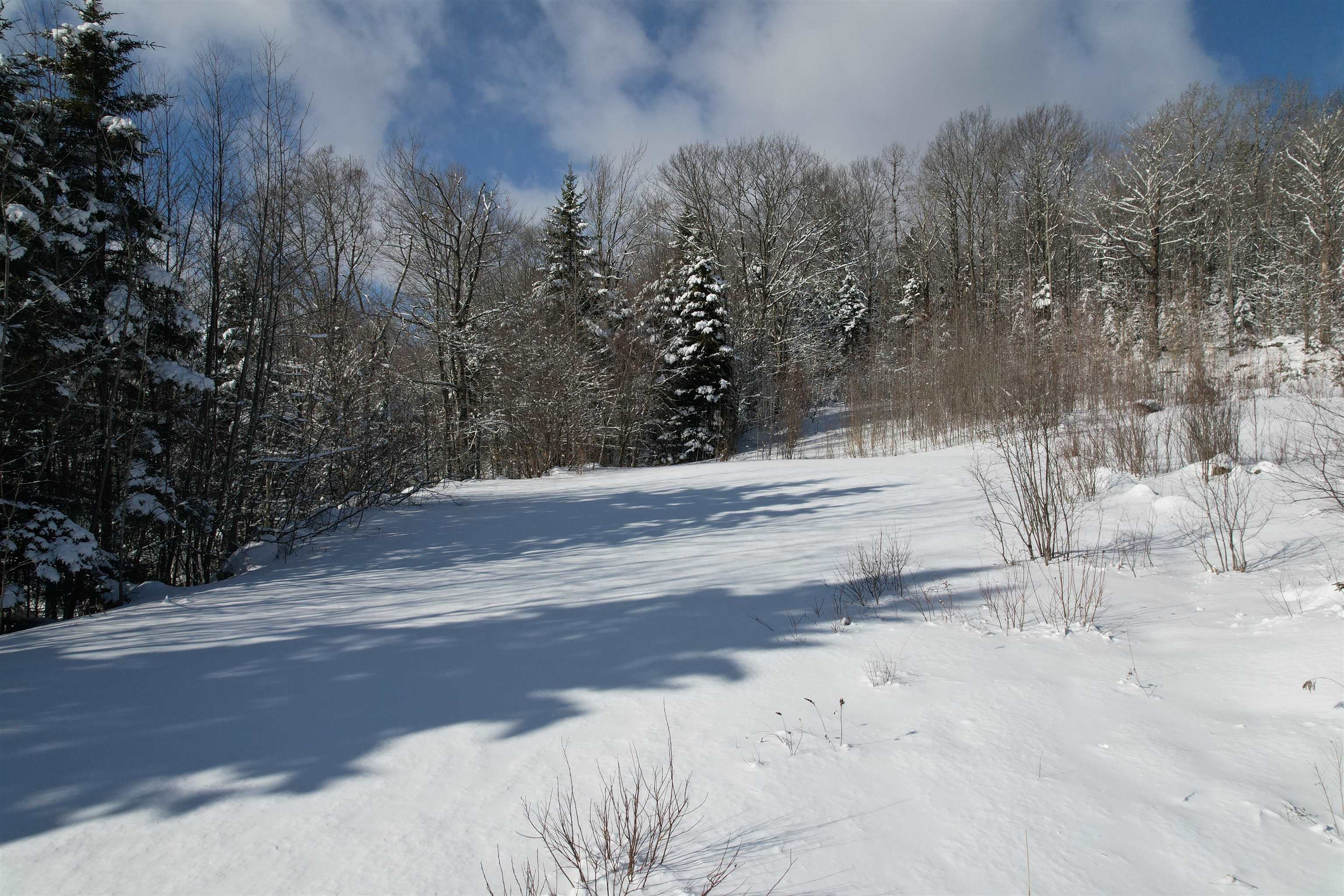 Homes for sale in Dover, VT | 5 Pinnacle View Rd, Dover, VT 05356 | MLS# 5029147