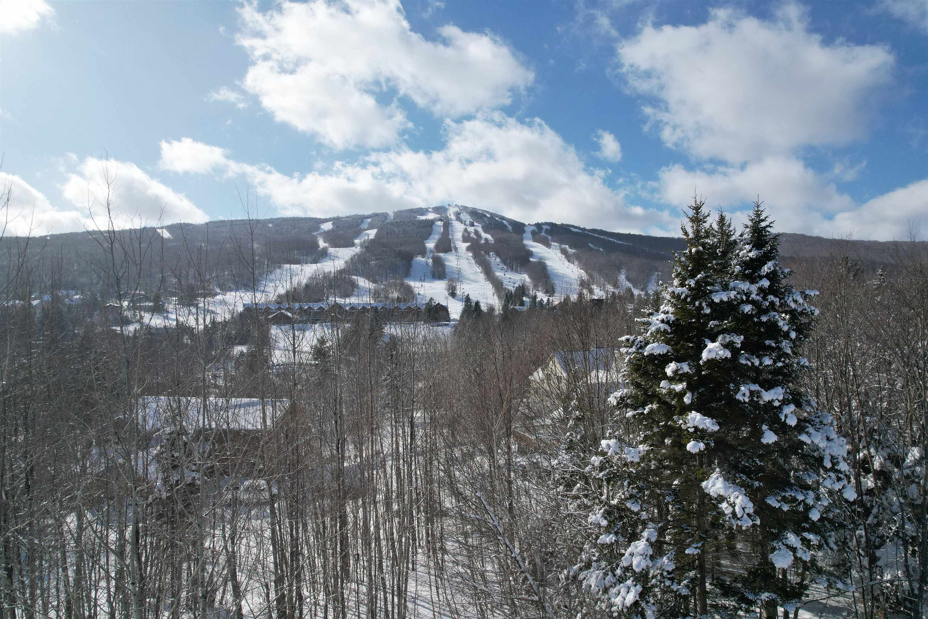 Homes for sale in Dover, VT | 5 Pinnacle View Rd, Dover, VT 05356 | MLS# 5029147