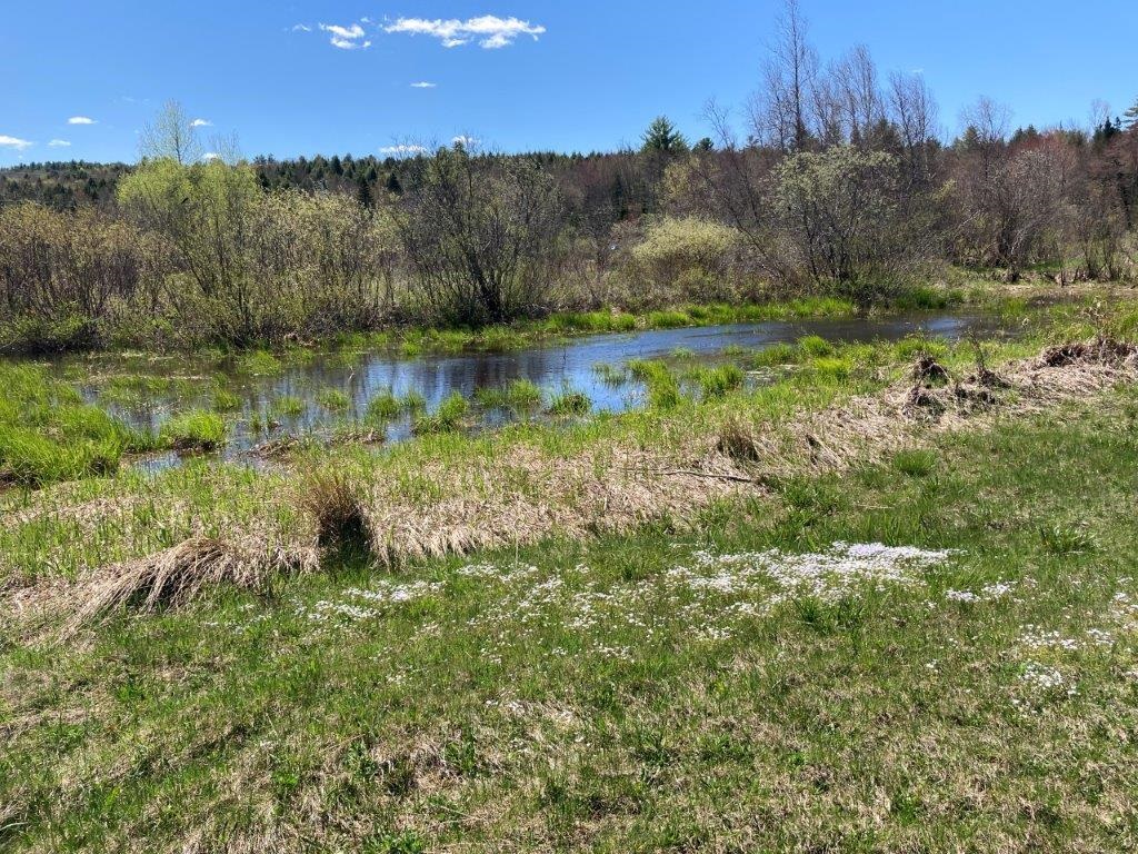 Ponding Area 22718202