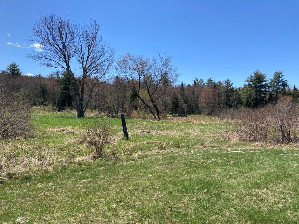 Scattered Trees 22718203