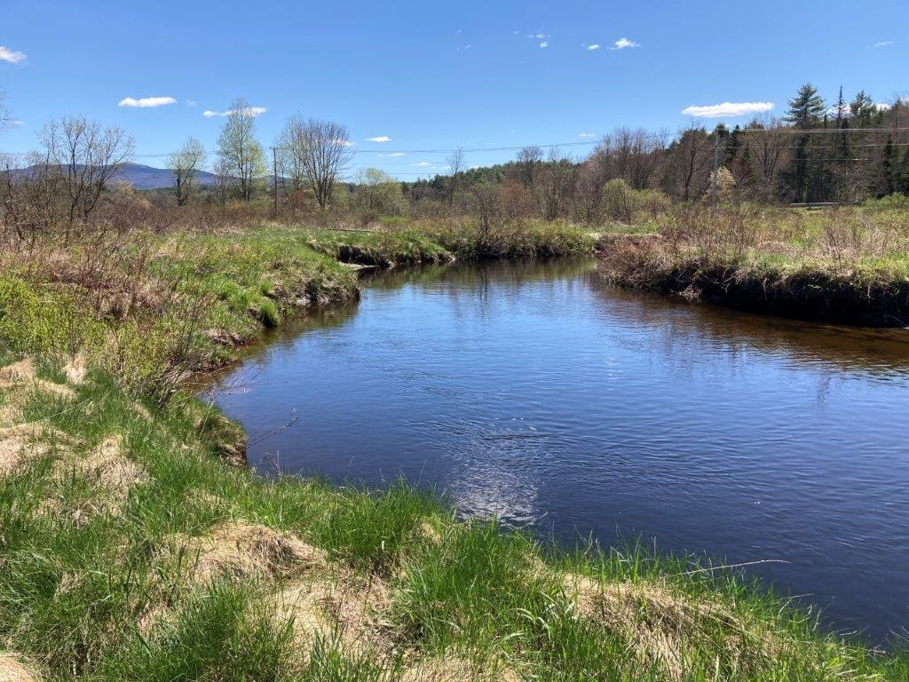 Time to Fish! 22718205