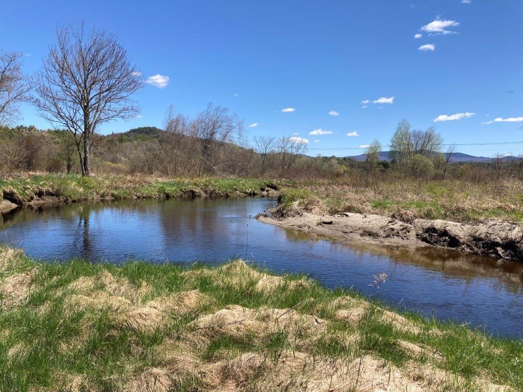 Springtime Photo 22718208