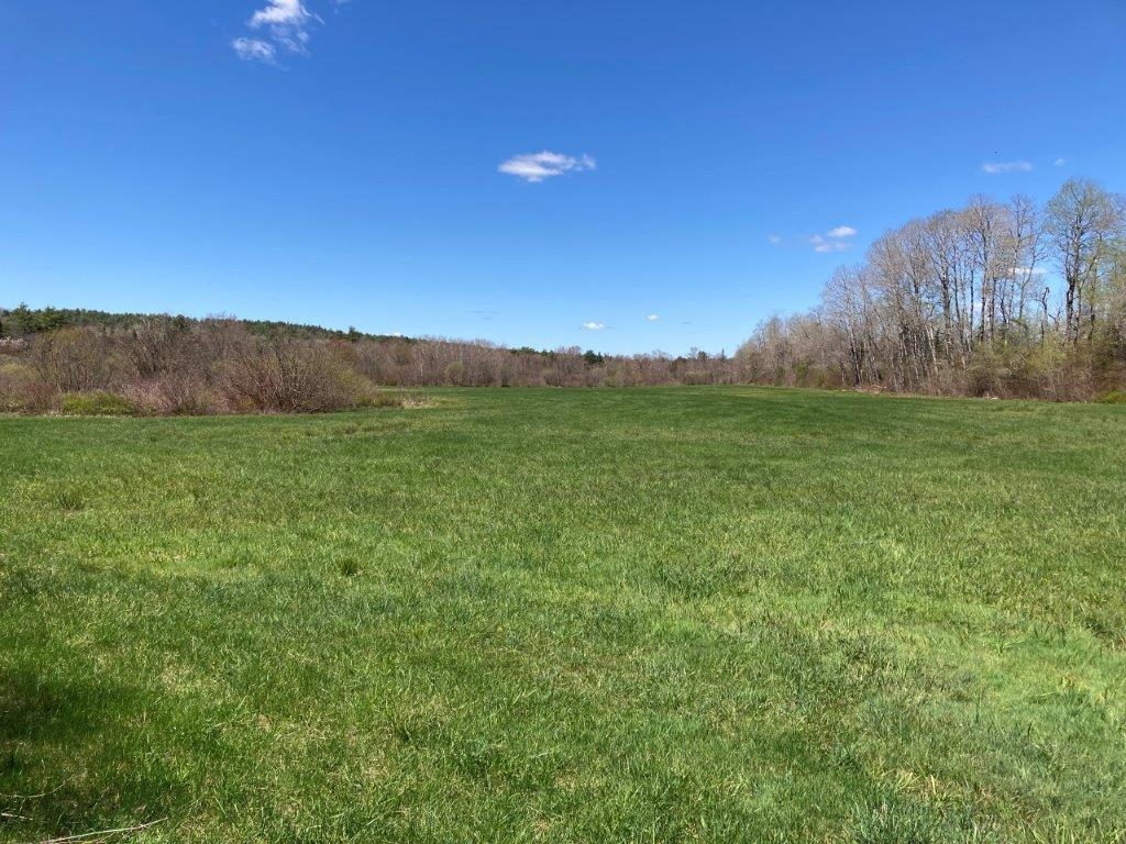 Level to Rolling 22718198