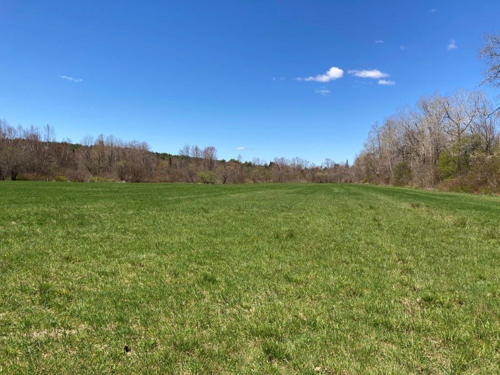 Bring Your Farm Animals 22718201