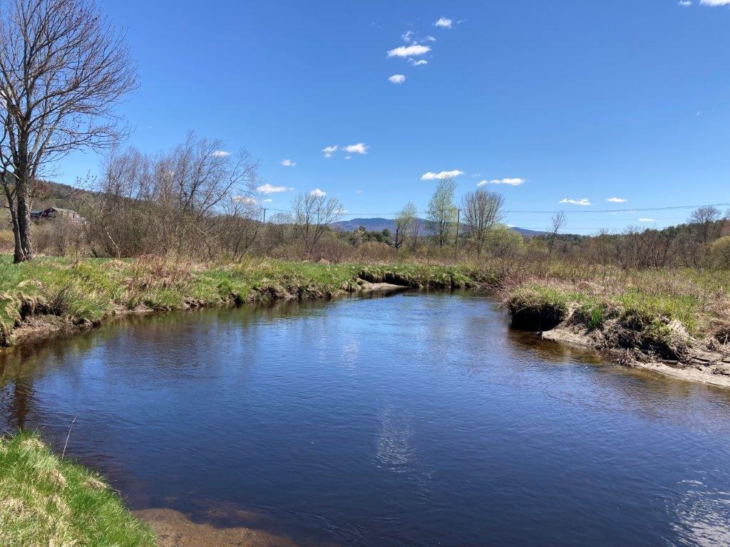 Relax along the River 22718194