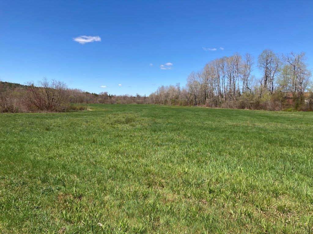 Great Hay For Horses 22718199