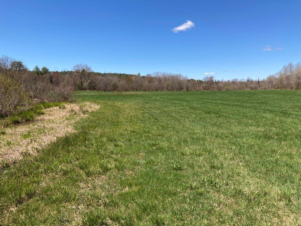 Truly New Hampshire 22718200