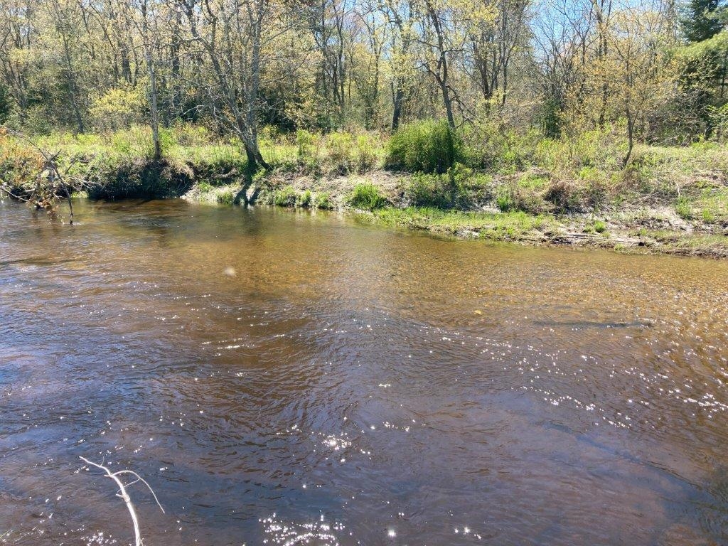 Sandy Bottom River 22718451