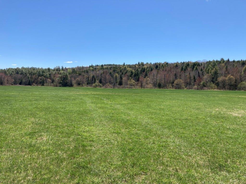 Woodland Views 22718460