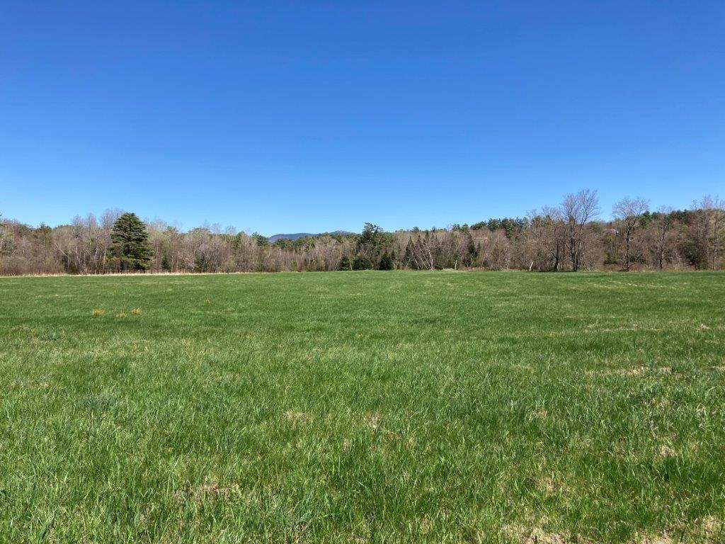 Bring your Animals 22718471