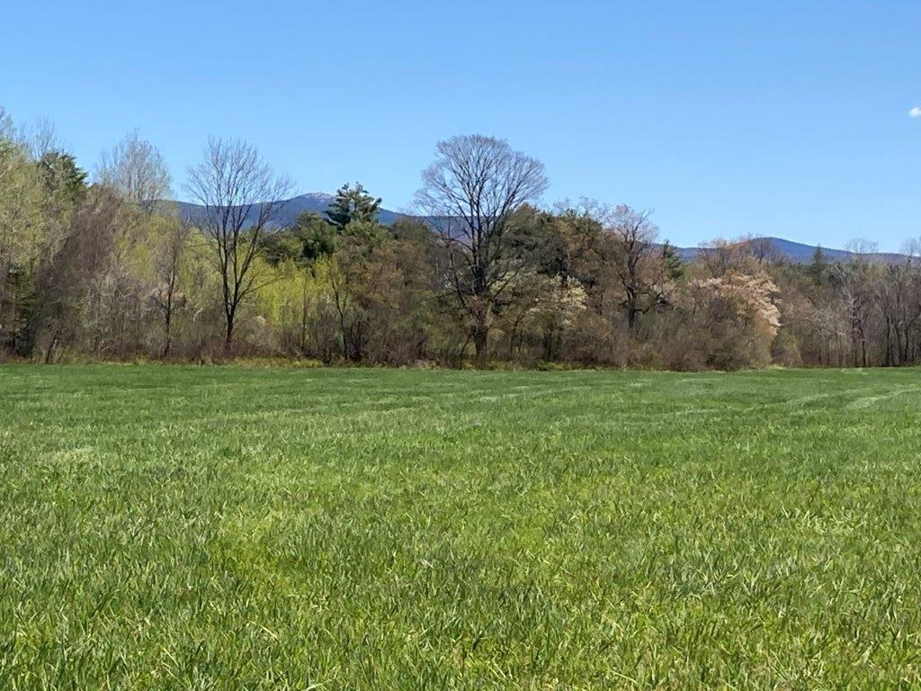 Amazing Nature 22718477