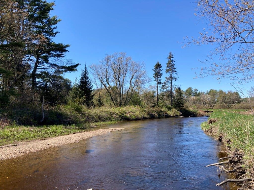 Relax Along the River 22718450