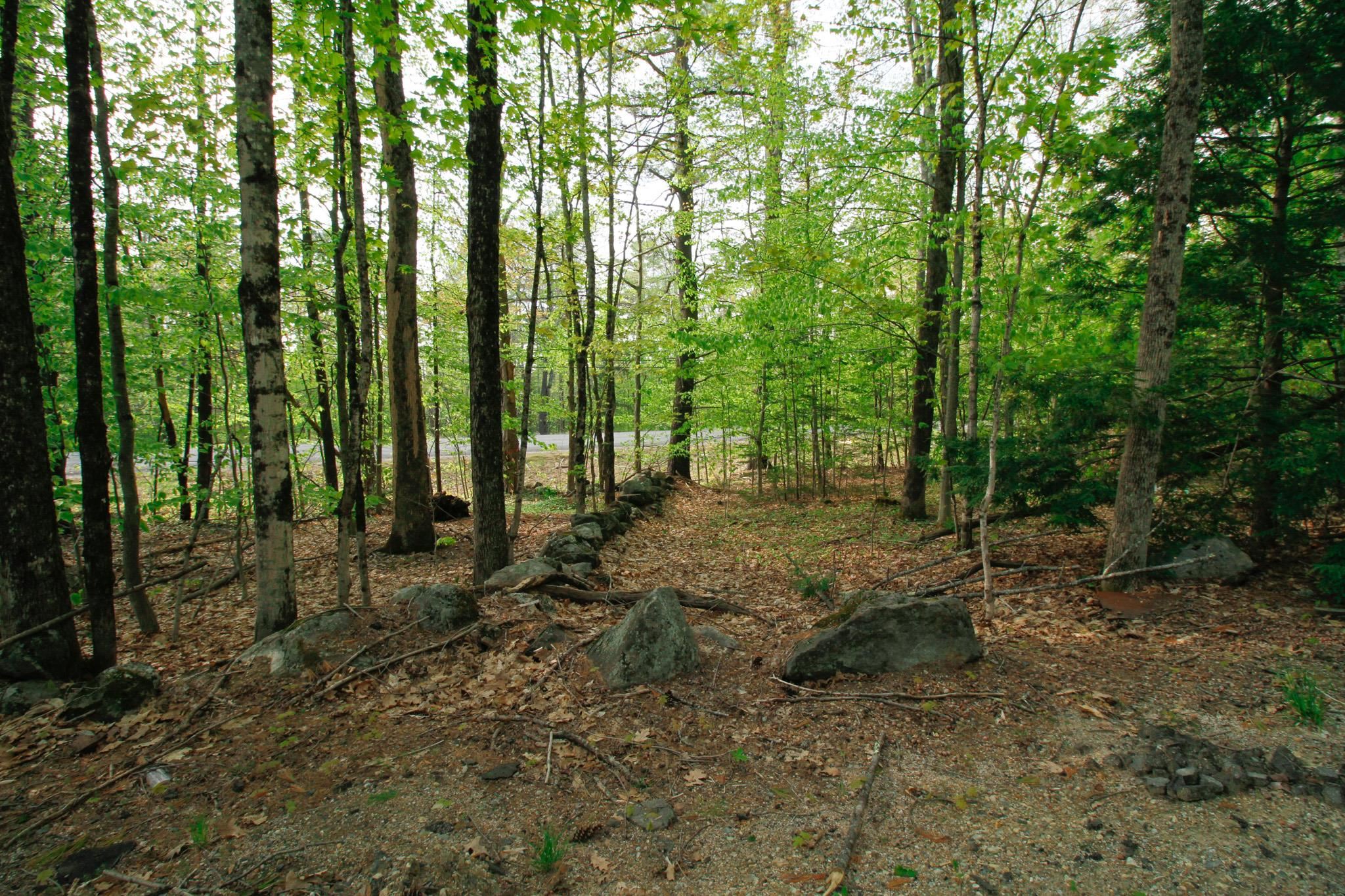 Sandwich NH Land for sale $$39,000 | 1.3 Acres  | Price Per Acre $0 